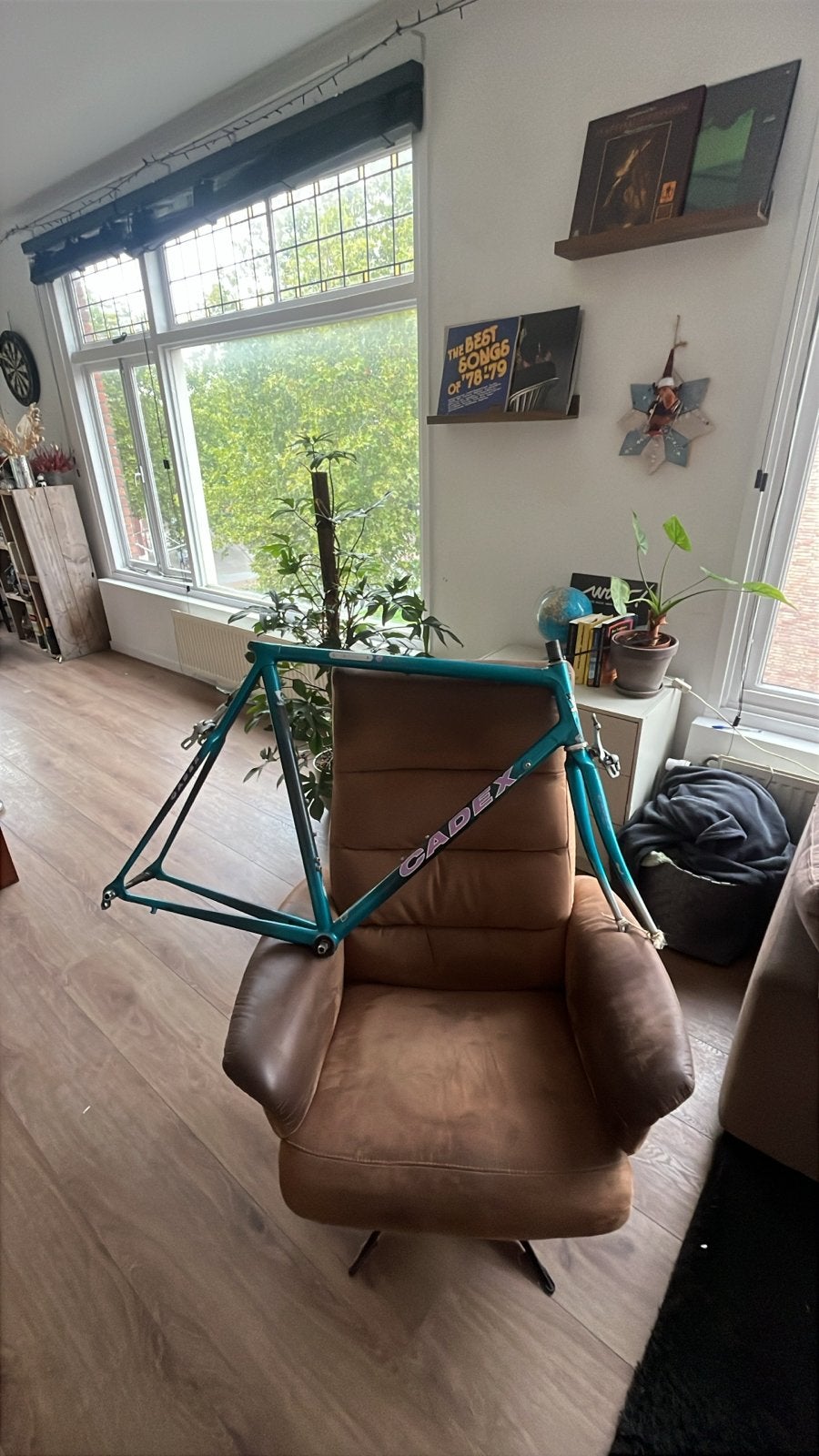 Giant Cadex Carbon Frame - Maat 59 - Lichte beschadigingen, Fietsen en Brommers, Ophalen, Frame, Gebruikt, Racefiets