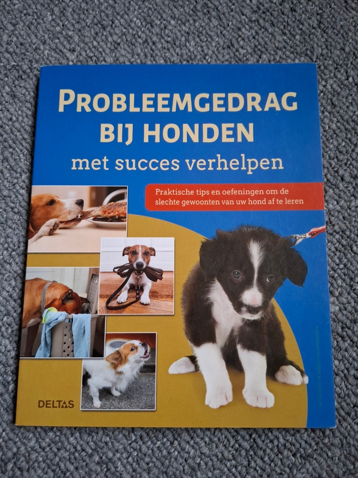 Probleemgedrag bij Honden met Succes Verhelpen - NIEUW BOEK!, Ophalen of Verzenden, Nieuw, Honden