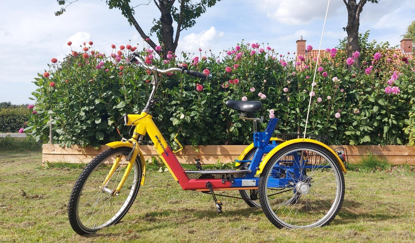 Draisin driewieler fiets fysio fiets, Ophalen, Gebruikt, Verstelbare zitting, Velgrem