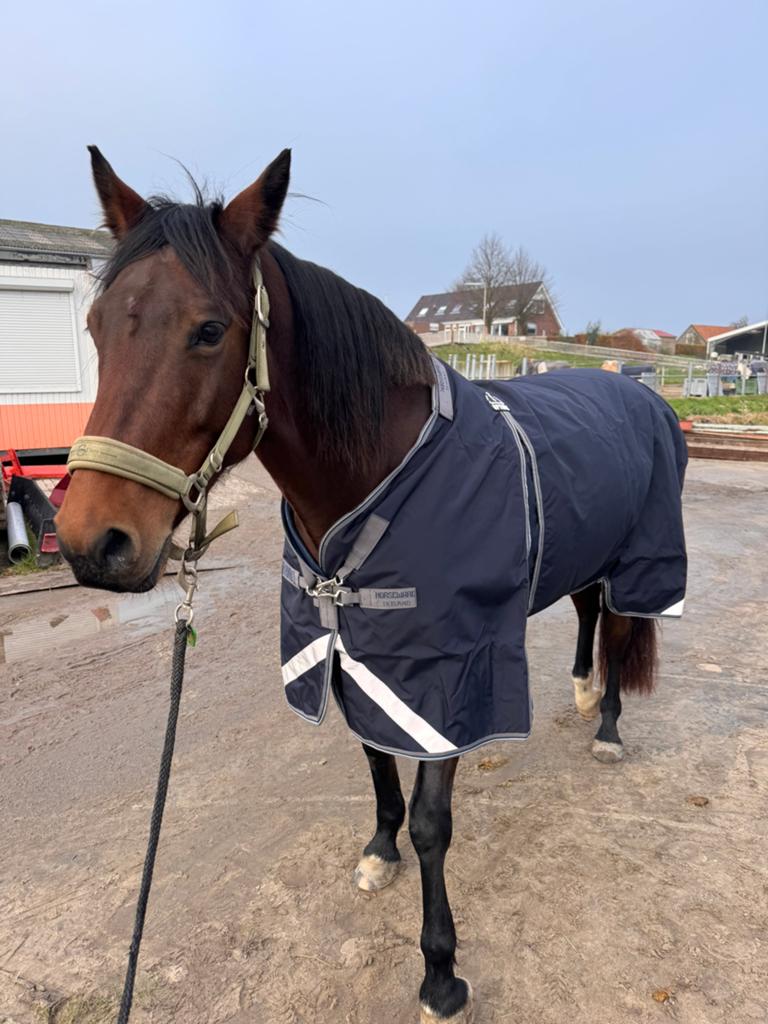 Rambo optimo 0gr, Dieren en Toebehoren, Ophalen of Verzenden, Zo goed als nieuw