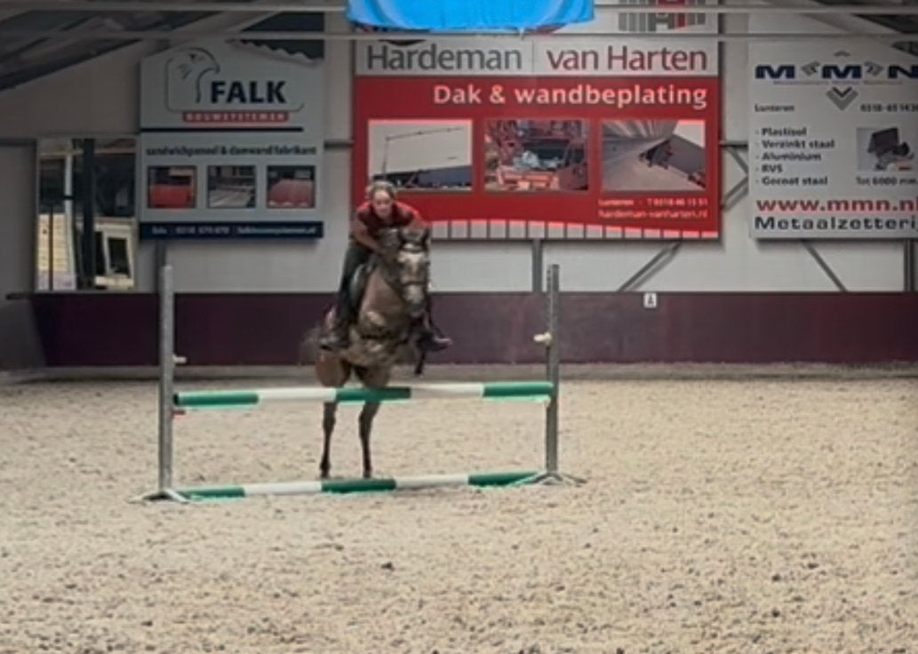 Lieve 3 jarige grote D pony, Dieren en Toebehoren, Paarden, Gechipt, Minder dan 160 cm, Ruin, Zadelmak