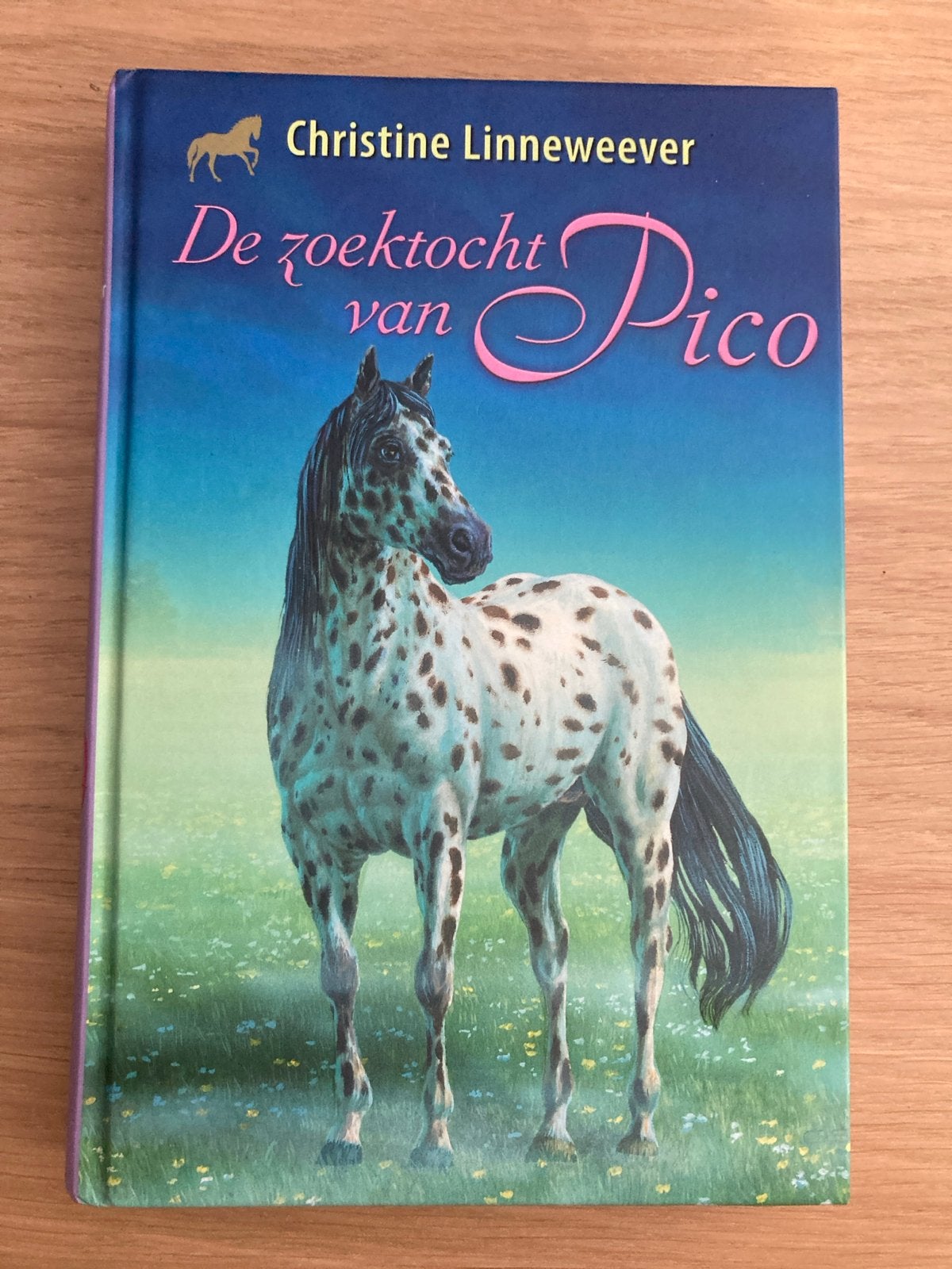 De Zoektocht van Pico - Christine Linneweever (Hardcover), Ophalen of Verzenden, Zo goed als nieuw, Fictie algemeen