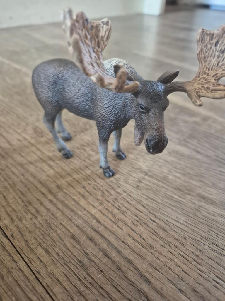 Schleich Eland, Verzamelen, Dierenverzamelingen, Ophalen of Verzenden, Zo goed als nieuw, Wild dier, Beeldje of Figuurtje