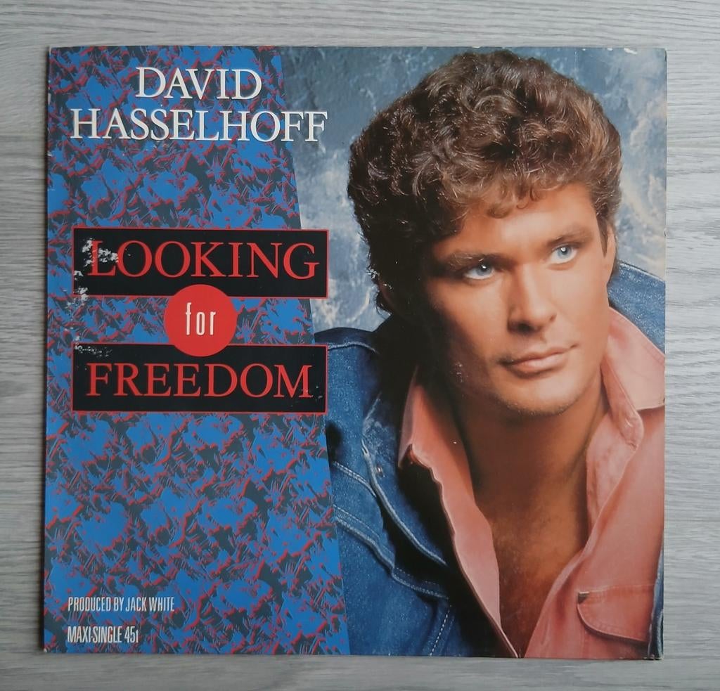 David Hasselhoff Looking For Freedom Vinyl LP, Ophalen of Verzenden, Zo goed als nieuw, 12 inch