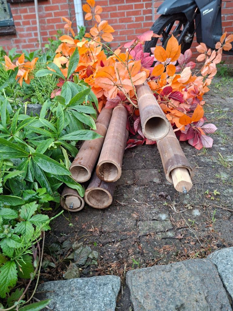 6x Grote Bamboe Palen Met Kunsstof Herfst Bladeren, Tuin en Terras, Ophalen