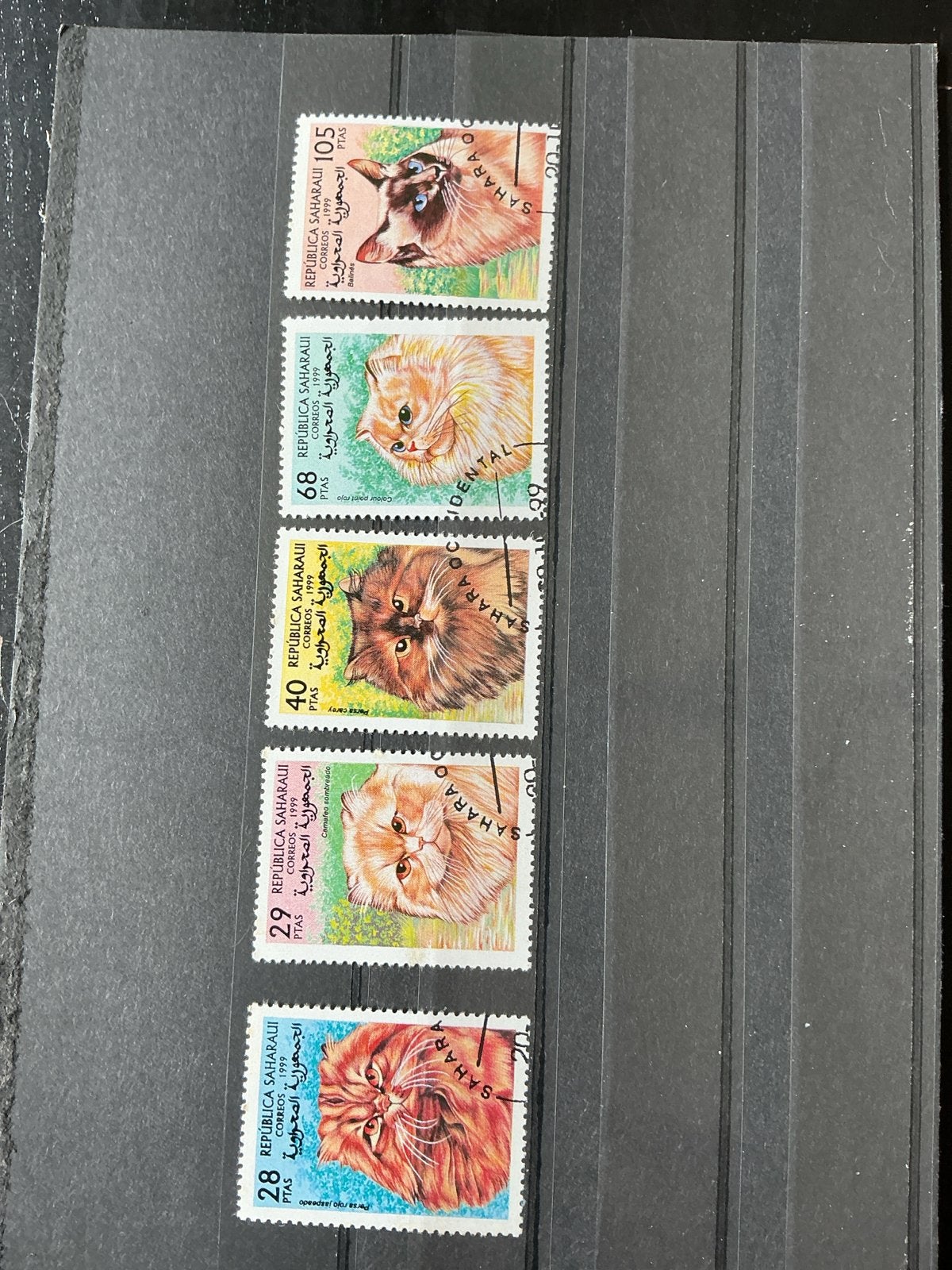 Sahara postzegels met katten, 1999, Ophalen of Verzenden, Overige landen, Gestempeld