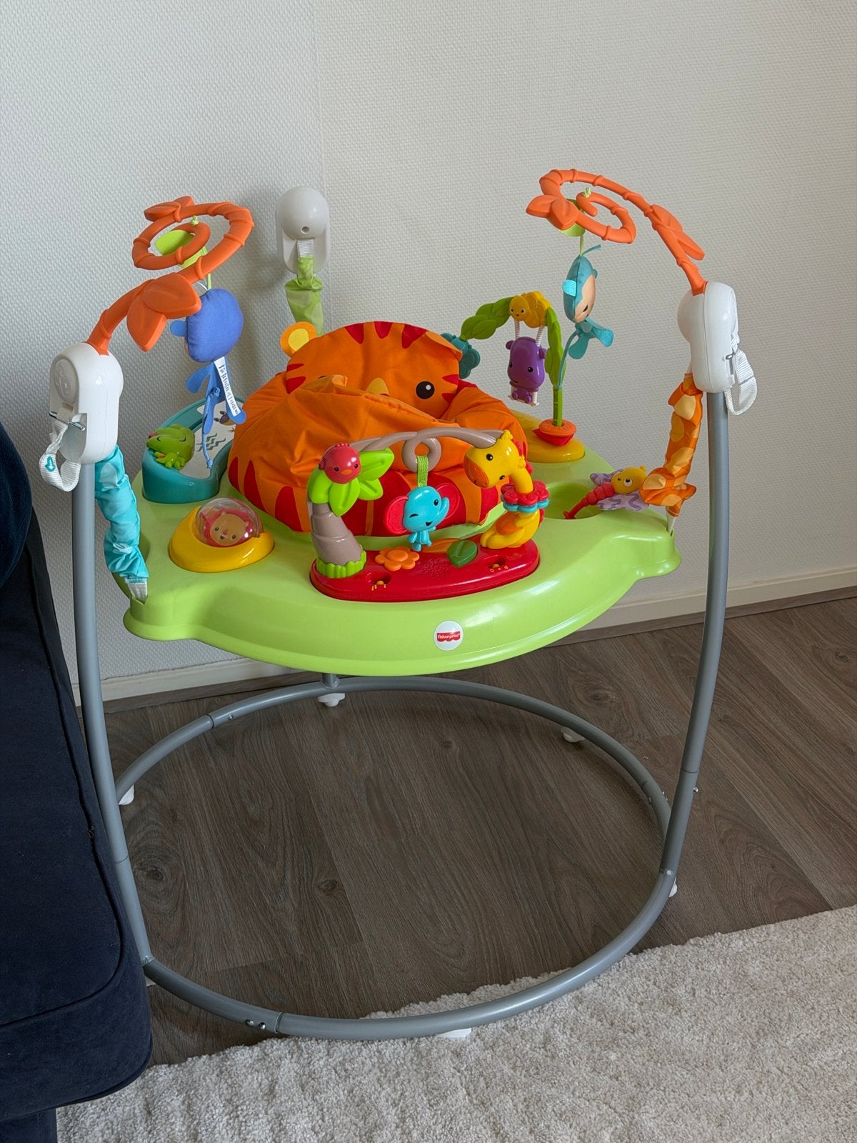 Fisher-Price Jumperoo: Jungle Vrolijkheid, Ophalen, Zo goed als nieuw, Overige typen, Met licht
