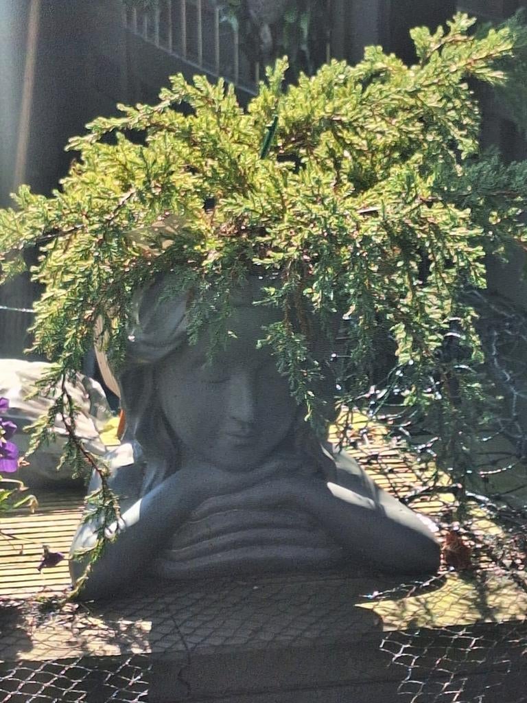 Diverse buiten beelden enz te koop, Tuin en Terras, Vijvers, Ophalen of Verzenden