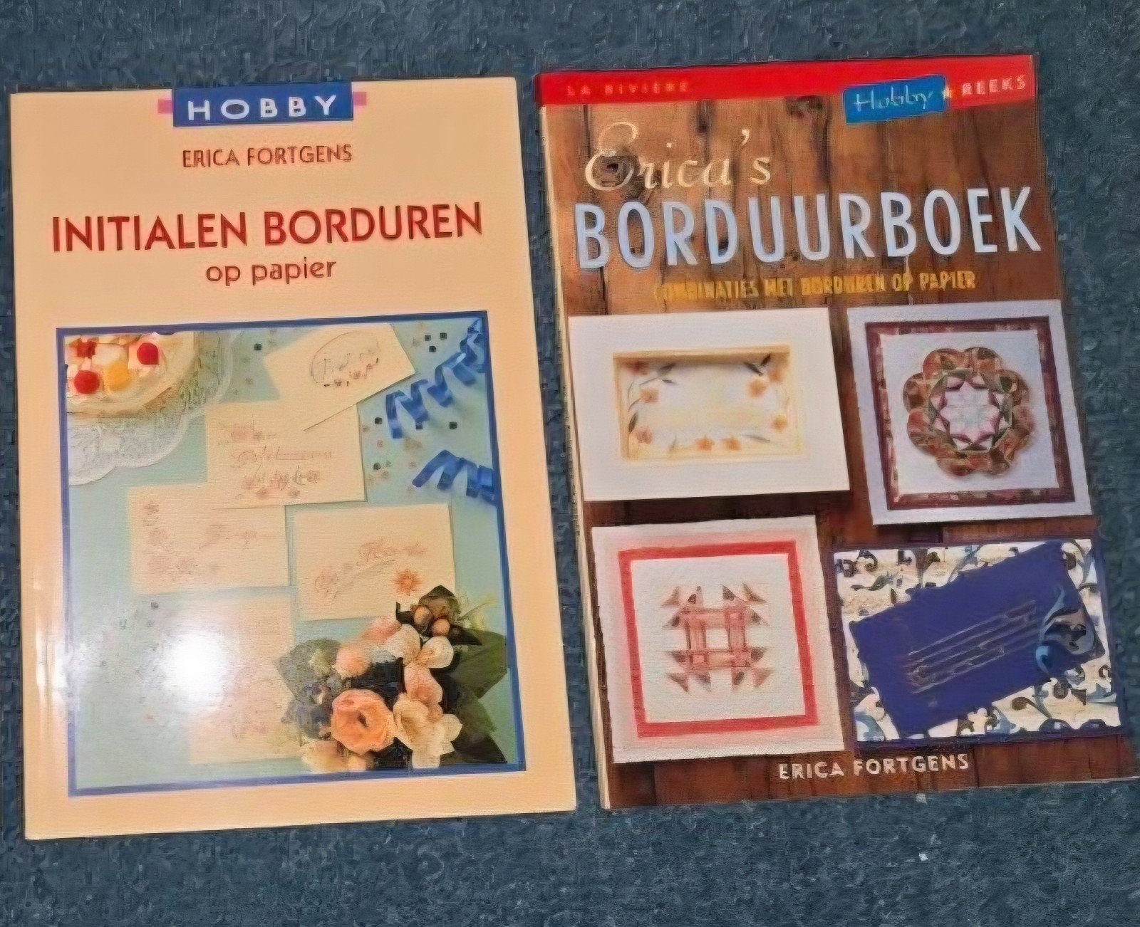 2 borduurboeken. Erica Fortgens, Ophalen of Verzenden, Zo goed als nieuw, Handborduren, Overige typen