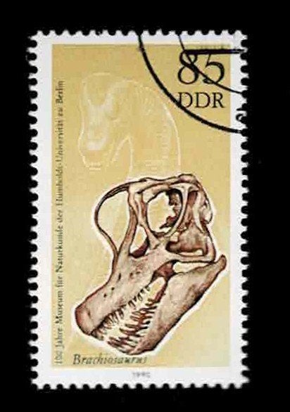 postzegel 2928 DDR Dinosauriërs schedel van Brachiosaurus, Ophalen of Verzenden, DDR, Gestempeld