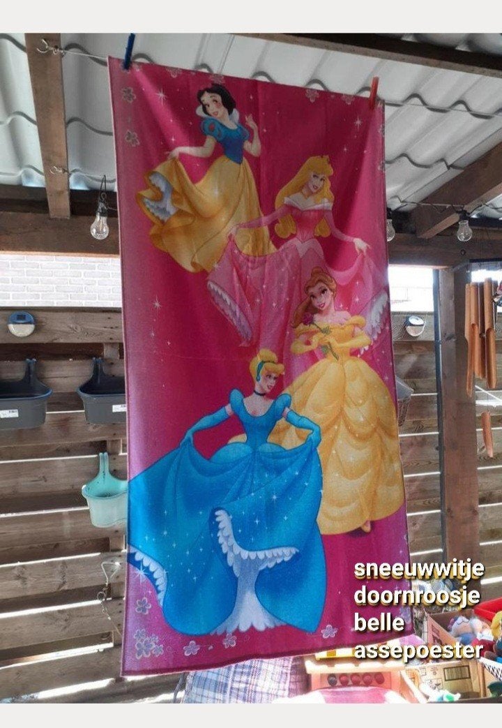 Strandlaken sneeuwwitje doornroosje belle assepoester, Ophalen of Verzenden, Zo goed als nieuw, Handdoek