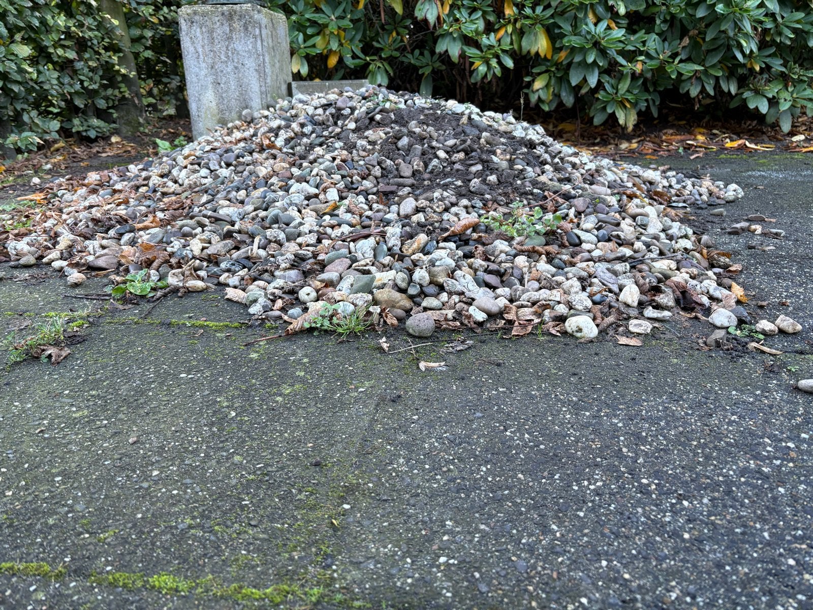 Gratis af te halen: Siergrind/Split voor tuin of oprit, Tuin en Terras, Ophalen, Gebruikt, Multi, Grind