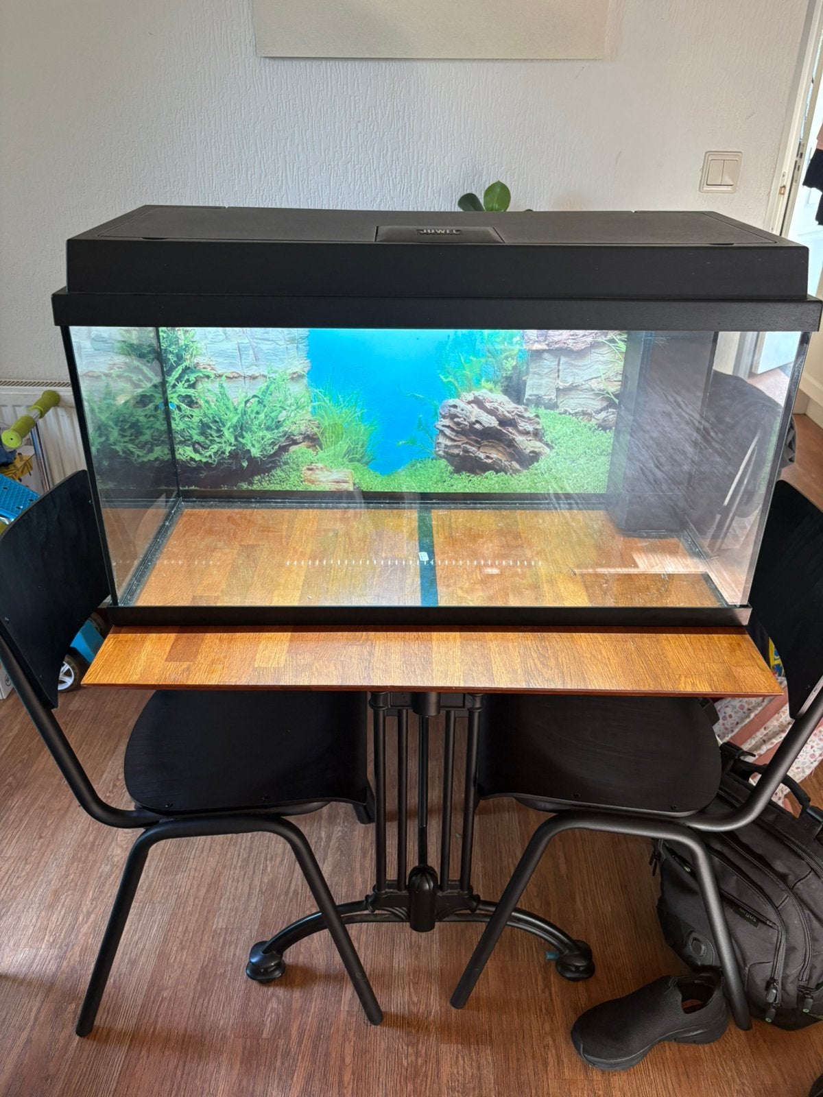 Juwel aquarium 80 cm, Dieren en Toebehoren, Vissen | Aquaria en Toebehoren, Ophalen, Zo goed als nieuw, Leeg aquarium