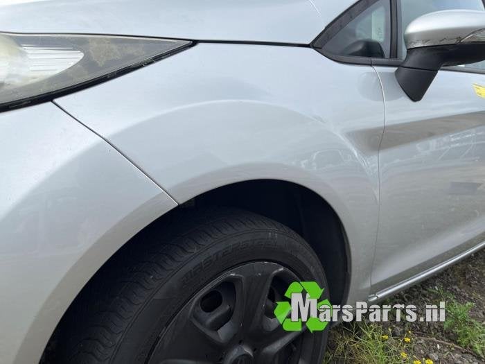 Scherm links-voor van een Ford Fiesta, Gebruikt, -, -, Ophalen of Verzenden