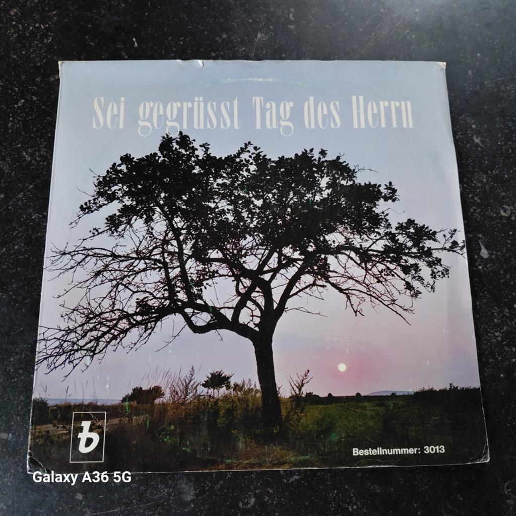 Sei gegrüsst Tag des Herrn - Vintage LP, Ophalen of Verzenden, Gebruikt, Gospel