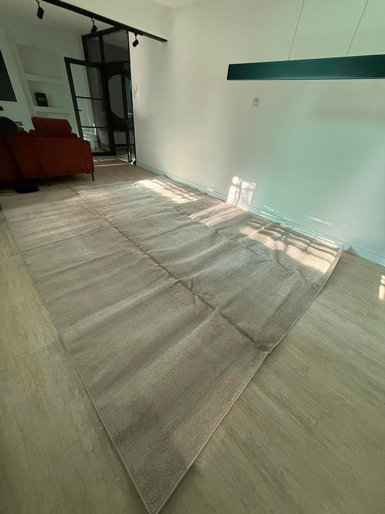 Anna - Beige Vloerkleed 300 x 400 cm Rugvista, Beige, Ophalen of Verzenden, 200 cm of meer, Rechthoekig