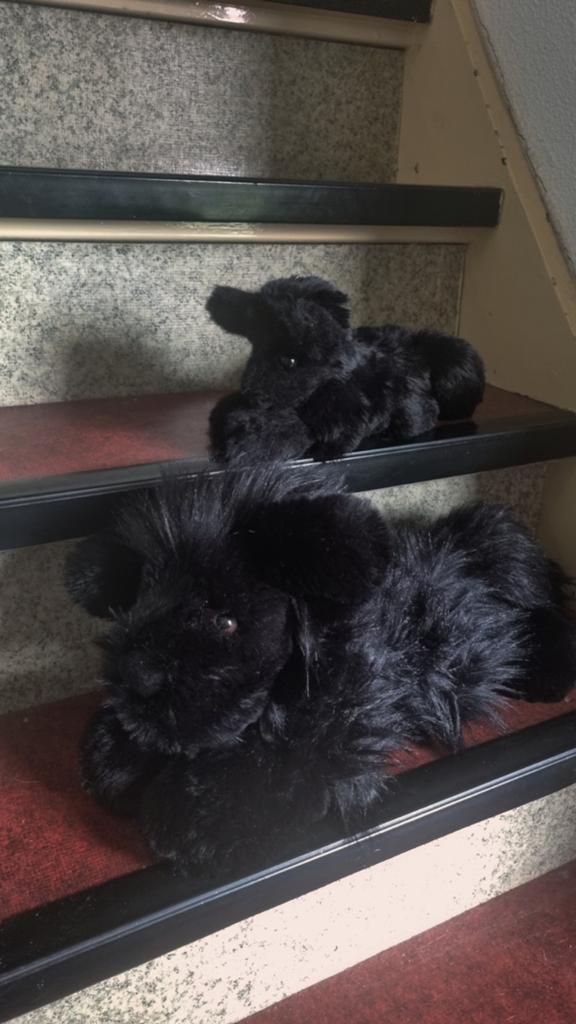 Plushie comissions!!, Kinderen en Baby's, Speelgoed | Knuffels en Pluche, Overige typen, Ophalen of Verzenden