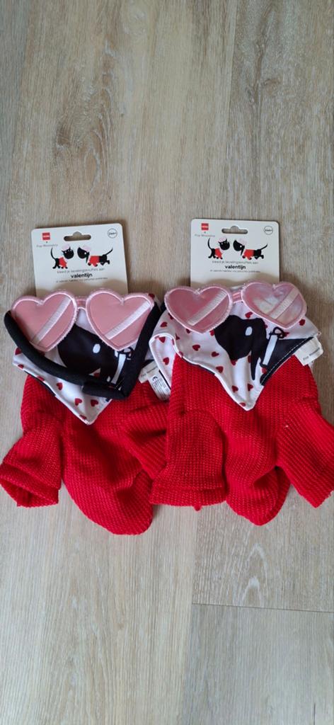 Verkleed setjes voor takkie of siepie. Valentijn, Ophalen of Verzenden