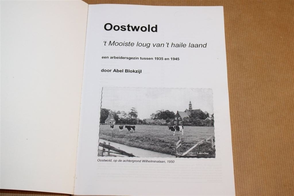 Oostwold — Groningen WOII Arbeidersgezin 1935-1945, Boeken, Ophalen of Verzenden, Gelezen