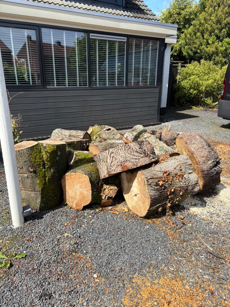 Ca 2 m3 haardhout (linden), Tuin en Terras, Haardhout, Minder dan 3 m³, Ophalen of Verzenden, Overige houtsoorten, Stammen