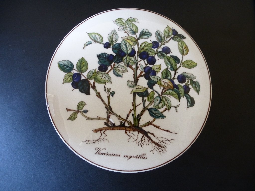Porseleinen dekseldoos "Botanica"- Villeroy & Boch, Verzenden, Zo goed als nieuw, Overige stijlen, Porselein