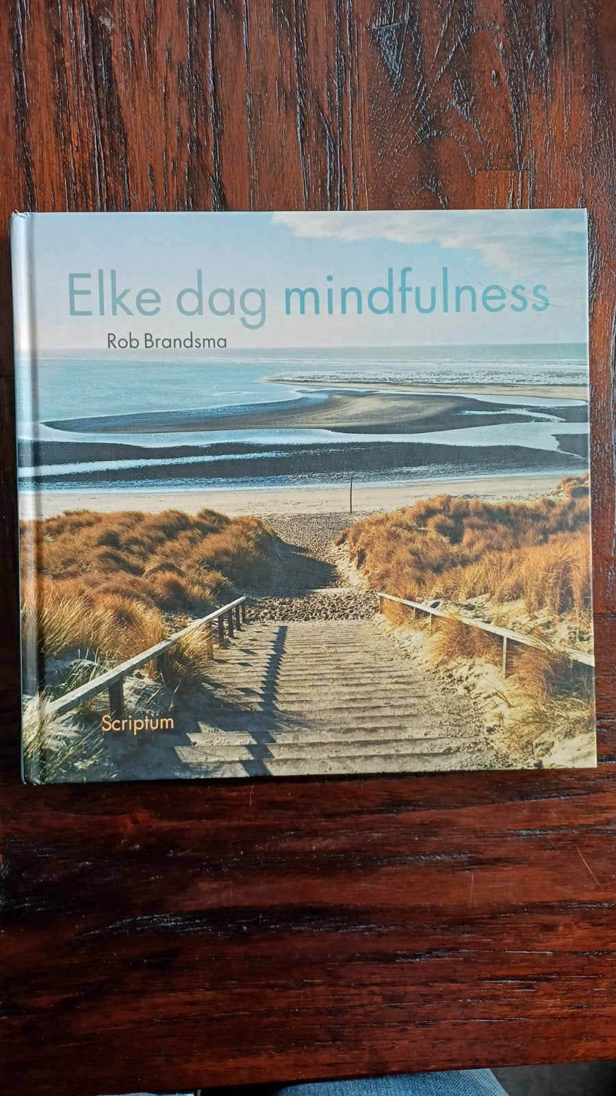 Elke dag mindfulness - Rob Brandsma (Zo goed als nieuw), Boeken, Meditatie of Yoga, Rob Brandsma, Ophalen of Verzenden, Zo goed als nieuw