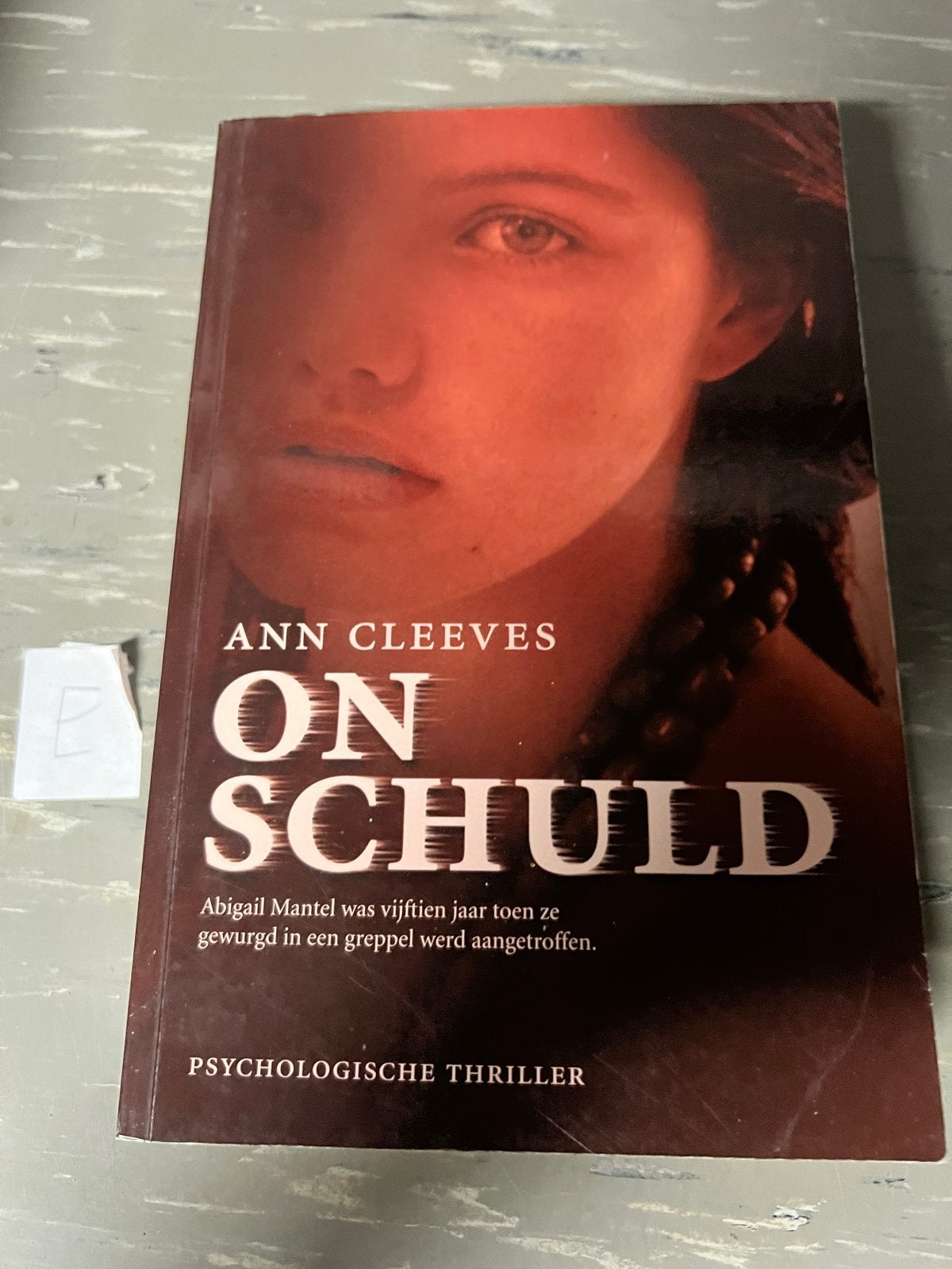 Ann Cleeves - On Schuld (Psychologische Thriller), Boeken, Ophalen of Verzenden, Gelezen
