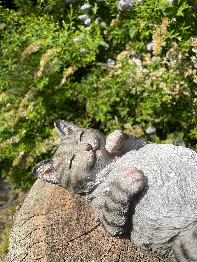 Poes, kat, liggend Grijs, tuin, gazon, boerderij 30cm, Tuin en Terras, Tuinbeelden, Ophalen of Verzenden, Nieuw, Kunststof, Dierenbeeld