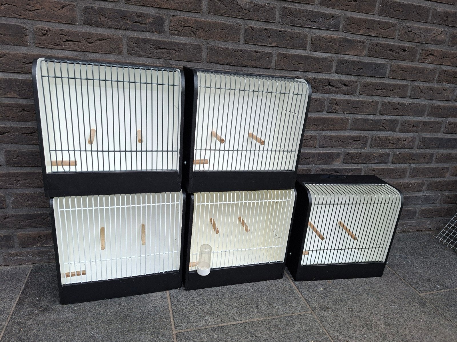 TT kooien netjes overgeschilderd, Ophalen of Verzenden