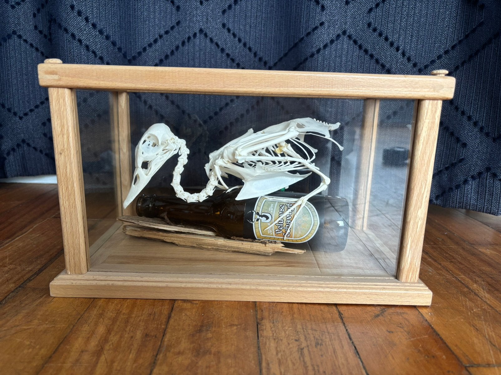 Uniek vogelskelet eend taxidermie, rariteitenkabinet, Ophalen, Zo goed als nieuw, Opgezet dier