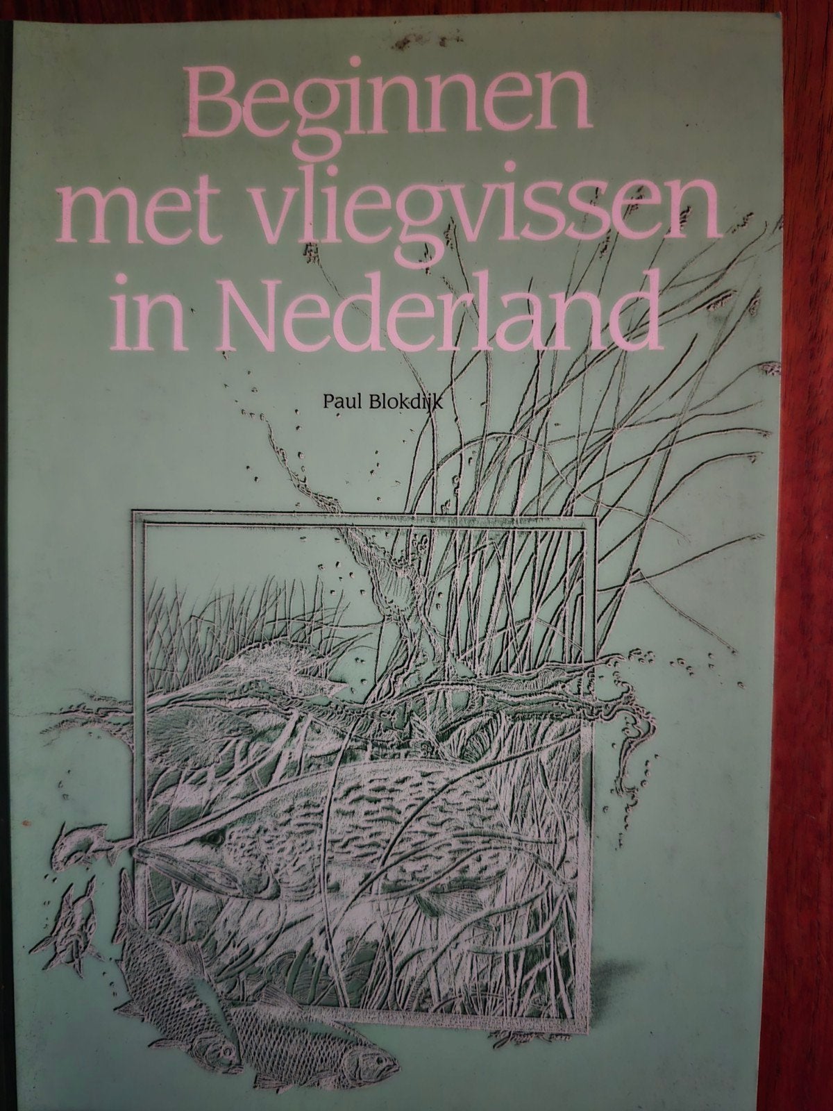 Beginnen met Vliegvissen in Nederland - Paul Blokdijk, Ophalen of Verzenden, Overige typen