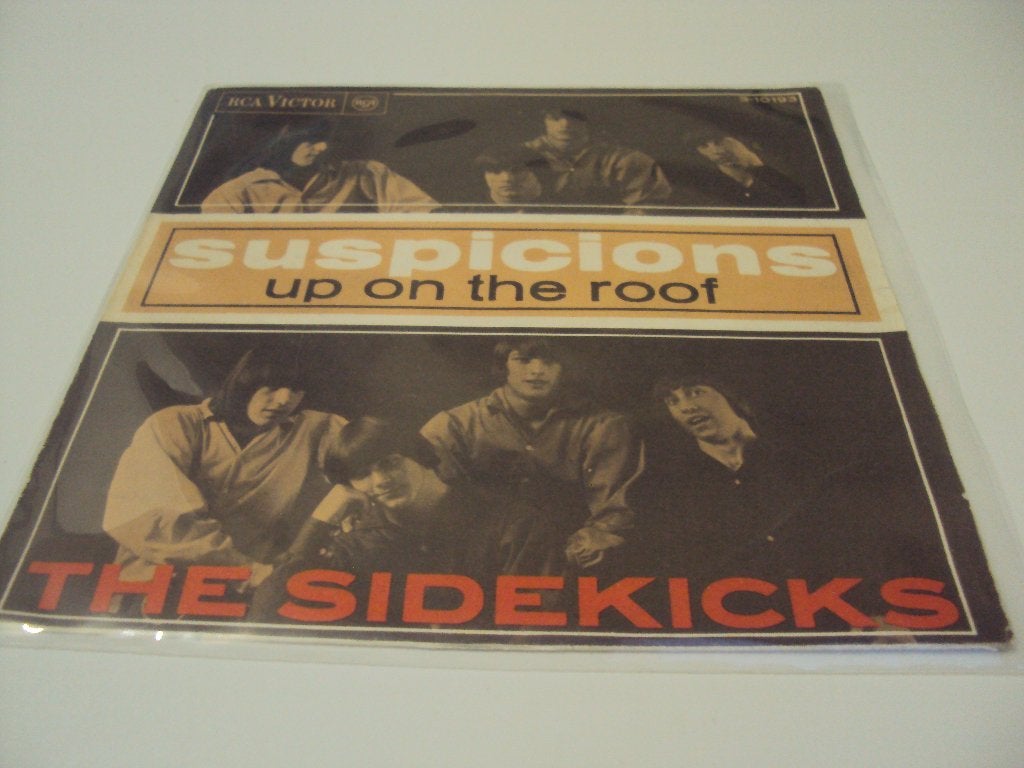 The Sidekicks - Suspicions, Gebruikt, Verzenden, 7 inch, Pop