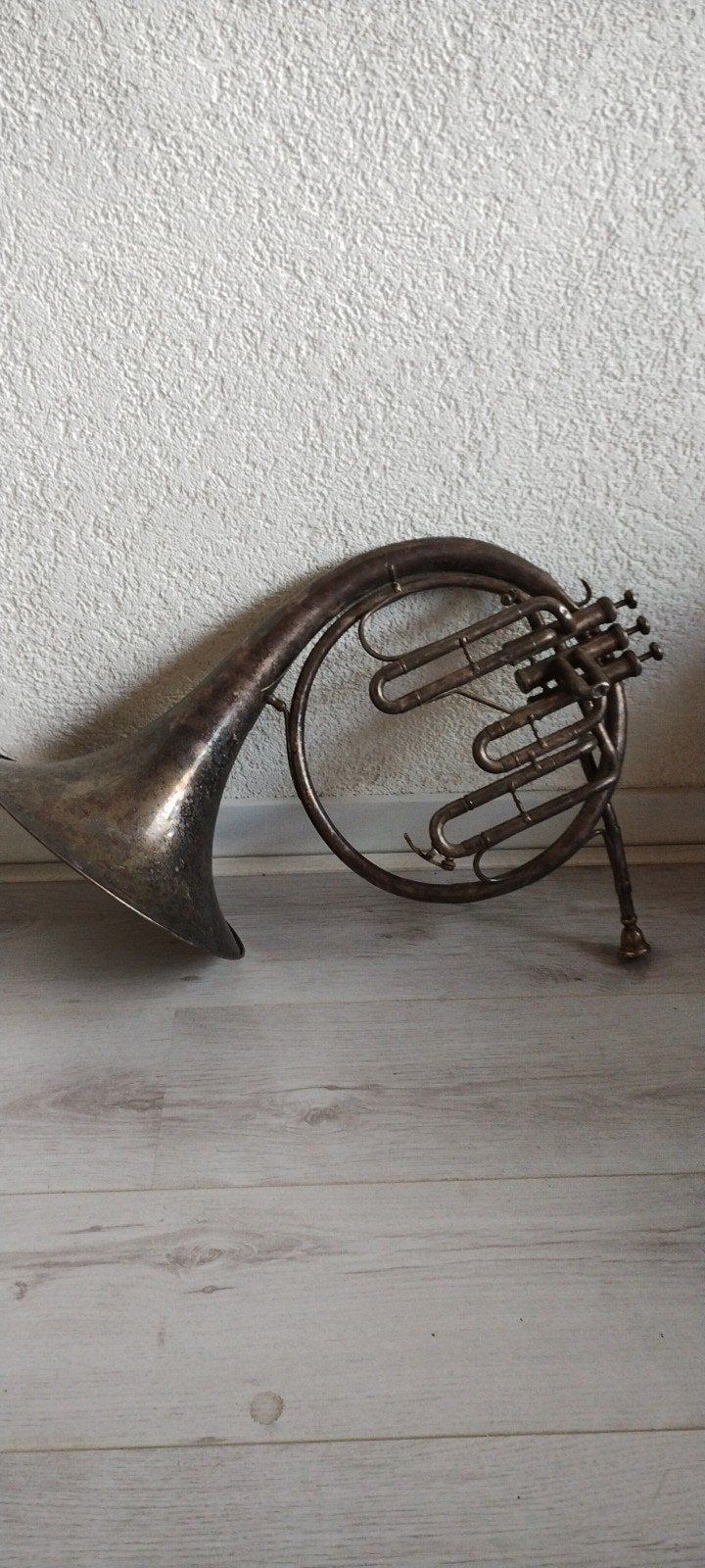 Antieke Hoorn - Decoratief Muziekinstrument decoratie, Ophalen, Gebruikt, Overige typen
