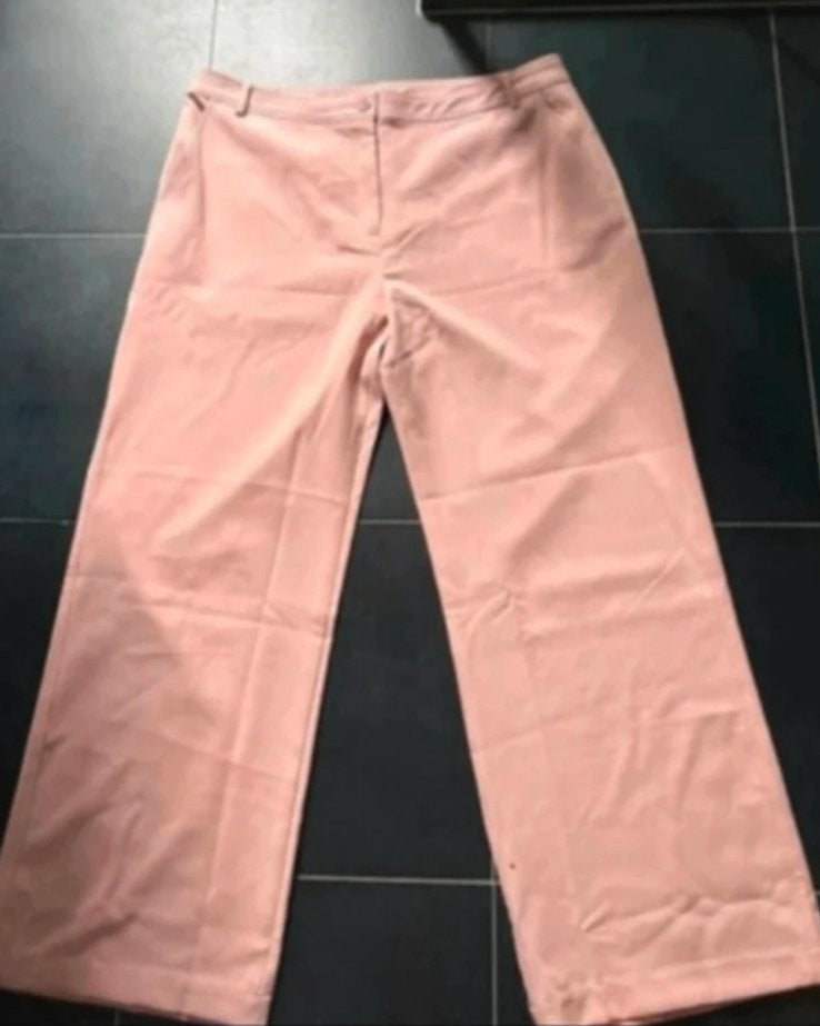 broek norah maat 48, Maat 46/48 (XL) of groter, Nieuw, Ophalen of Verzenden, Roze