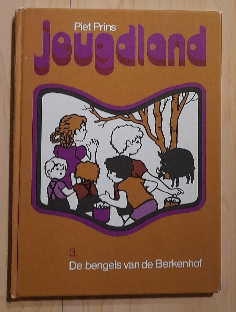 DE BENGELS VAN BERKENHOF   Piet Prins, Boeken, Ophalen of Verzenden, Gelezen, Fictie algemeen