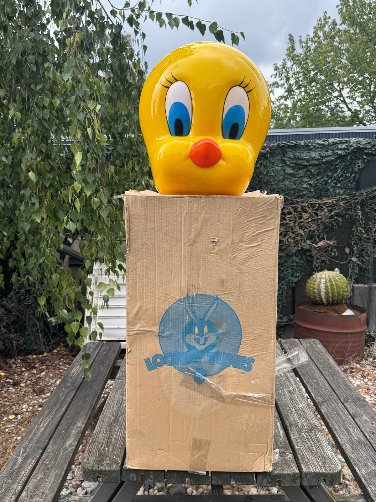 Grote Tweety hoofd - Looney Tunes, Ophalen, Gebruikt