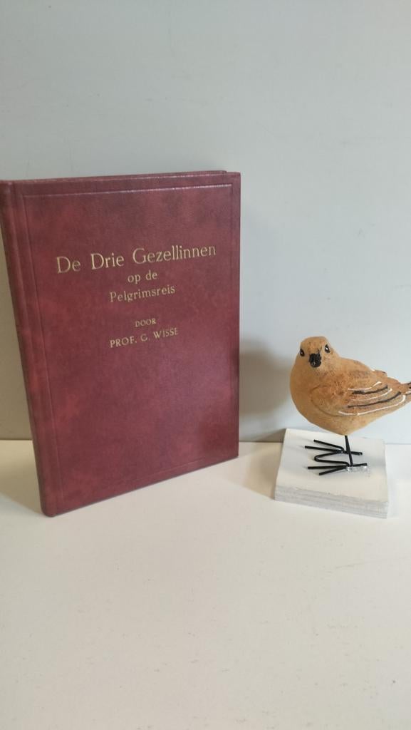 Wisse, Prof. G.; De drie gezellinnen op de pelgrimsreis, Ophalen of Verzenden, Gelezen, Christendom | Protestants