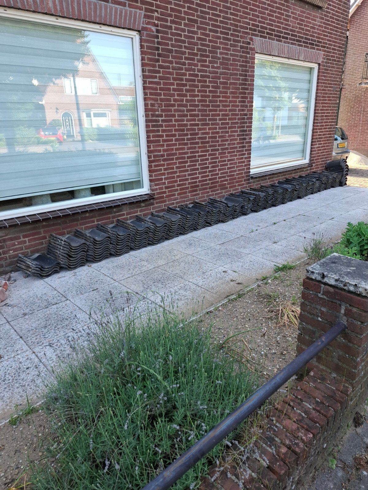 Dakpannen, Tuin en Terras, Planten | Struiken en Hagen, Ophalen, Overige soorten, Minder dan 100 cm