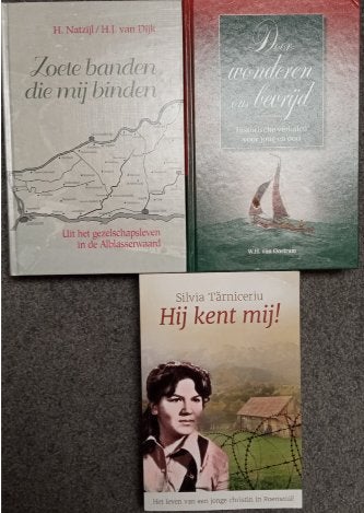 Historische verhalen - christelijke boeken, Boeken, Ophalen of Verzenden, Gelezen