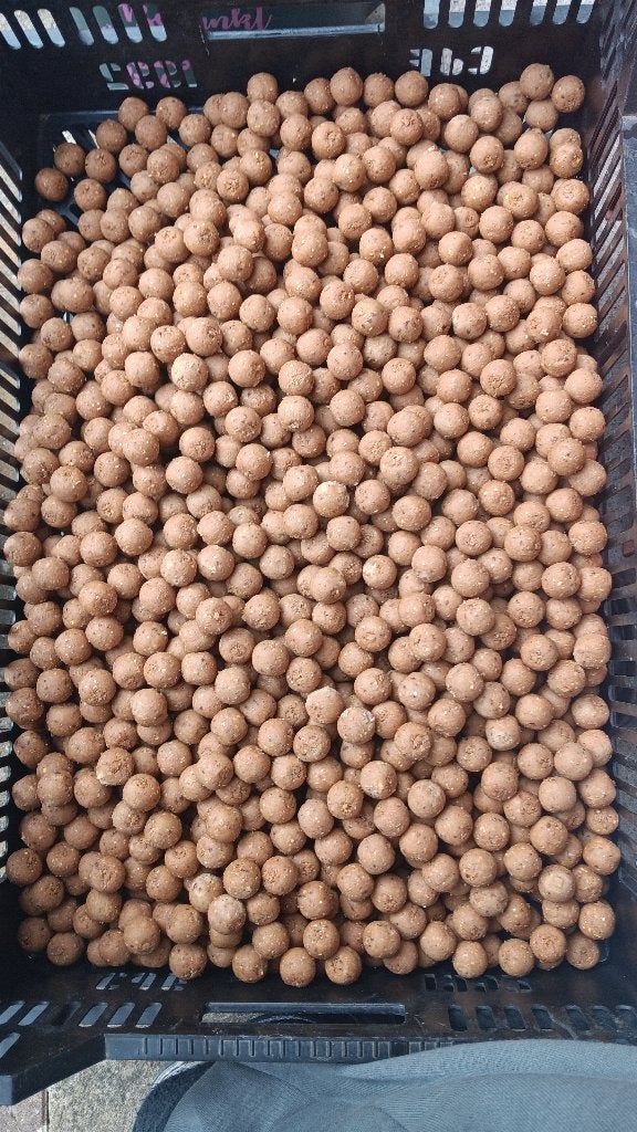 hot sinaasappel premium boilies, Ophalen of Verzenden, Nieuw, Overige typen