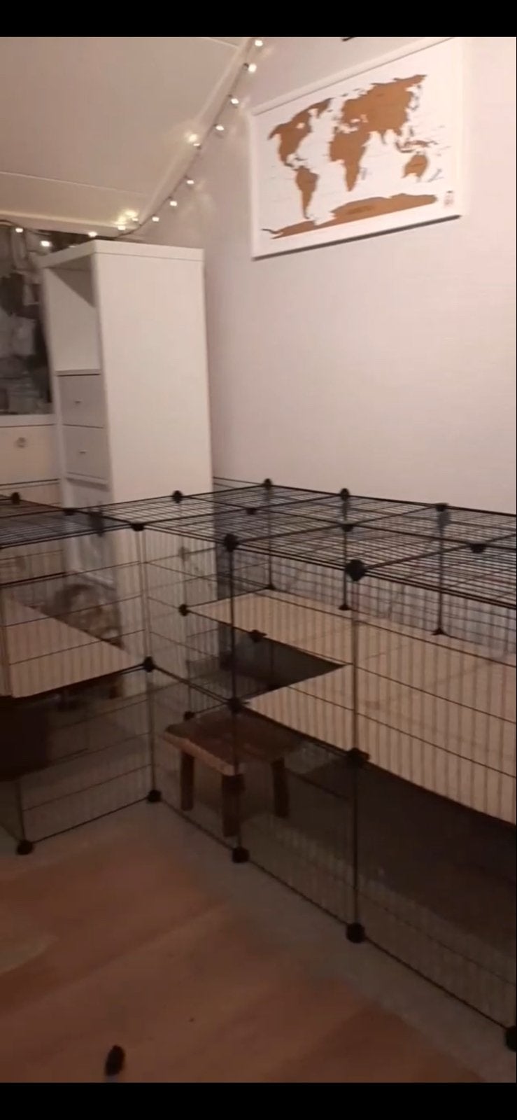 Hokpanelen voor diverse dieren, Dieren en Toebehoren, Knaagdieren en Konijnen | Hokken en Kooien, Gebruikt, Overige typen, Minder dan 75 cm