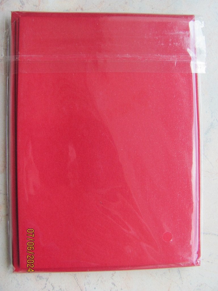 NIEUW 8x METALLIC dubbele KAARTEN papier ENVELOP rechthoekig, Ophalen of Verzenden, Nieuw, Overige thema's, Blanco kaart of Basiskaart