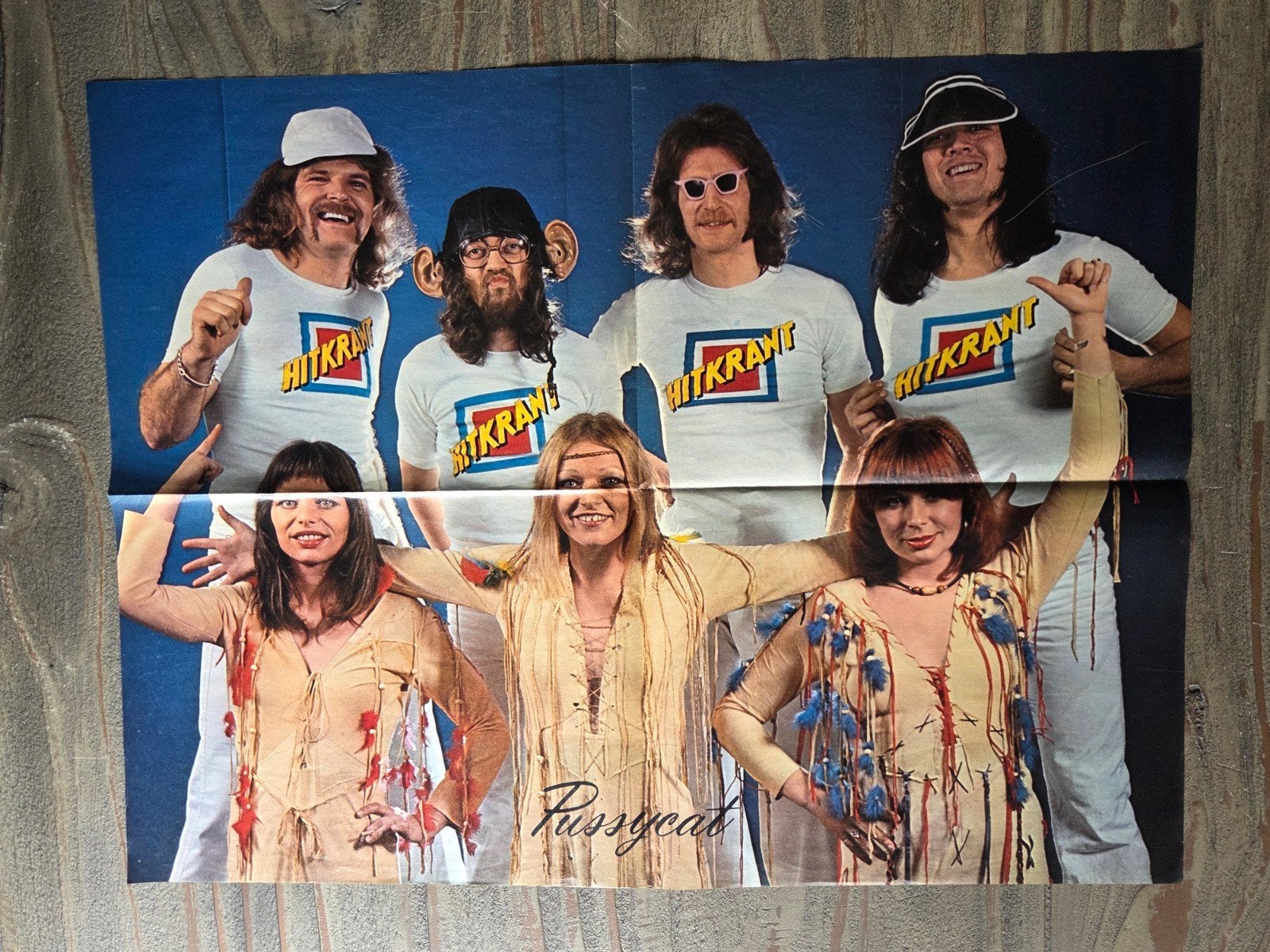 Vintage Poster - Popgroep Pussycat, Verzamelen, Posters, Zo goed als nieuw, Muziek, A1 t/m A3, Ophalen of Verzenden