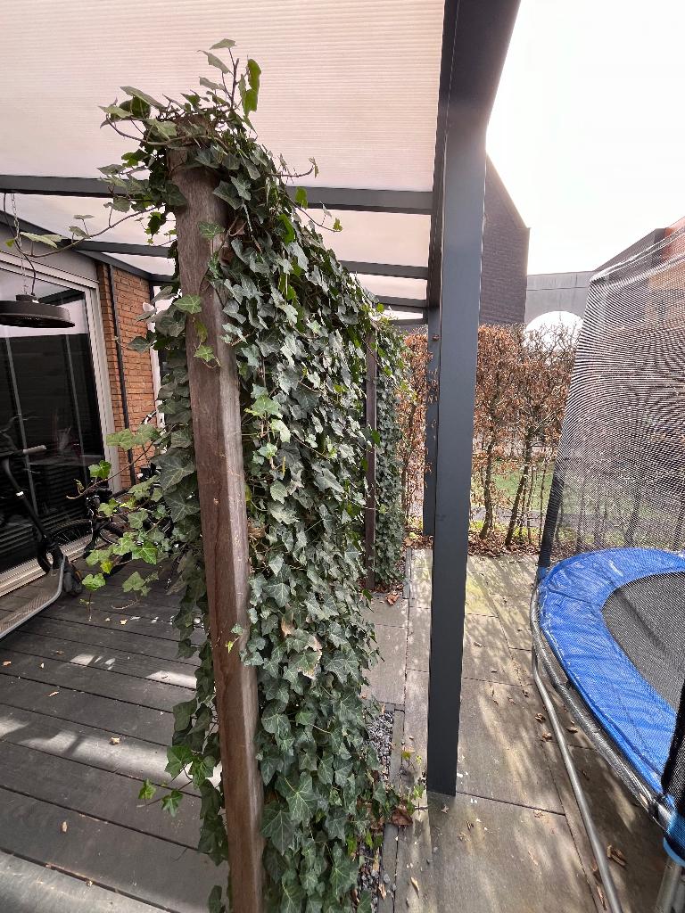 Thuin accessoires, Tuin en Terras, Ophalen