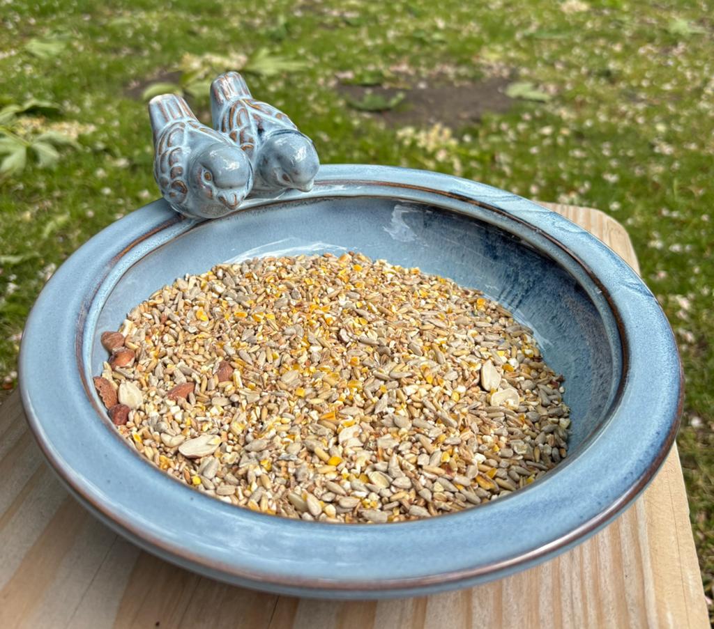 Vogelschaal, Tuin en Terras, Vogelhuisjes en Vogelbaden, Ophalen of Verzenden, Nieuw