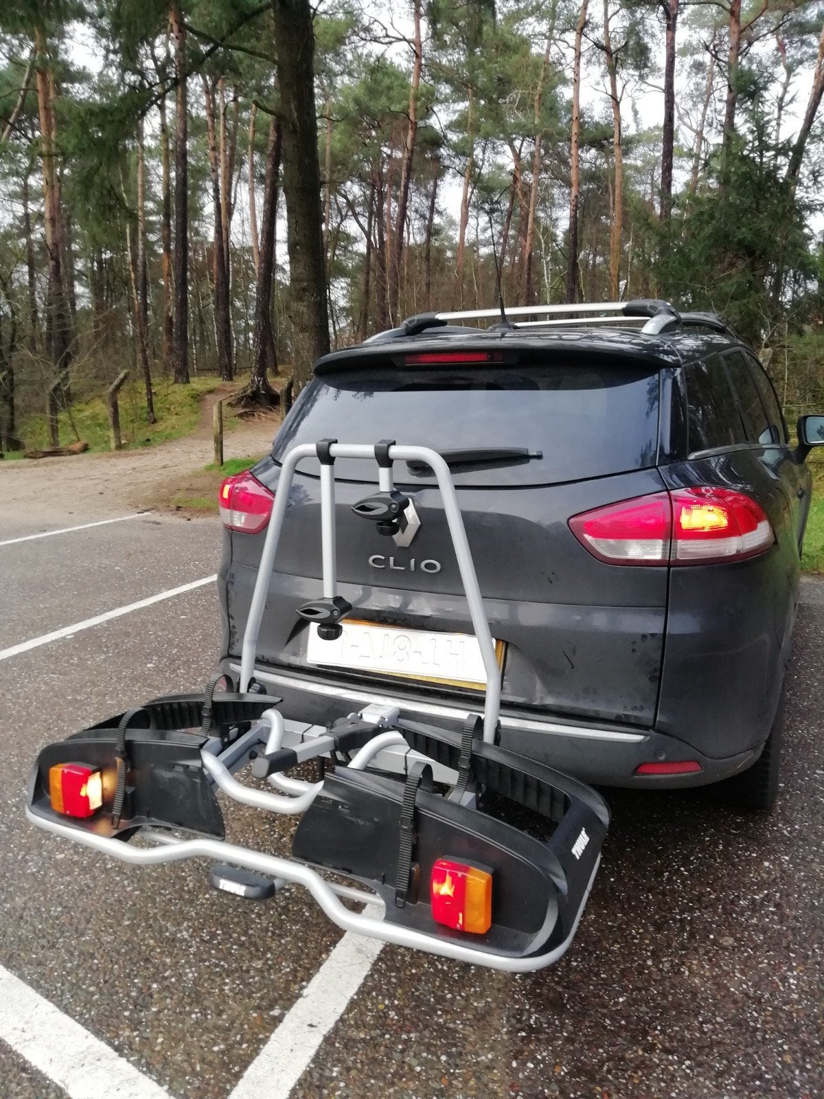 THULE EUROPOWER 916 FIETSENDRAGER, FIETSDRAGER, FIETS, Ophalen, Gebruikt, Elektrische fiets, 2 fietsen
