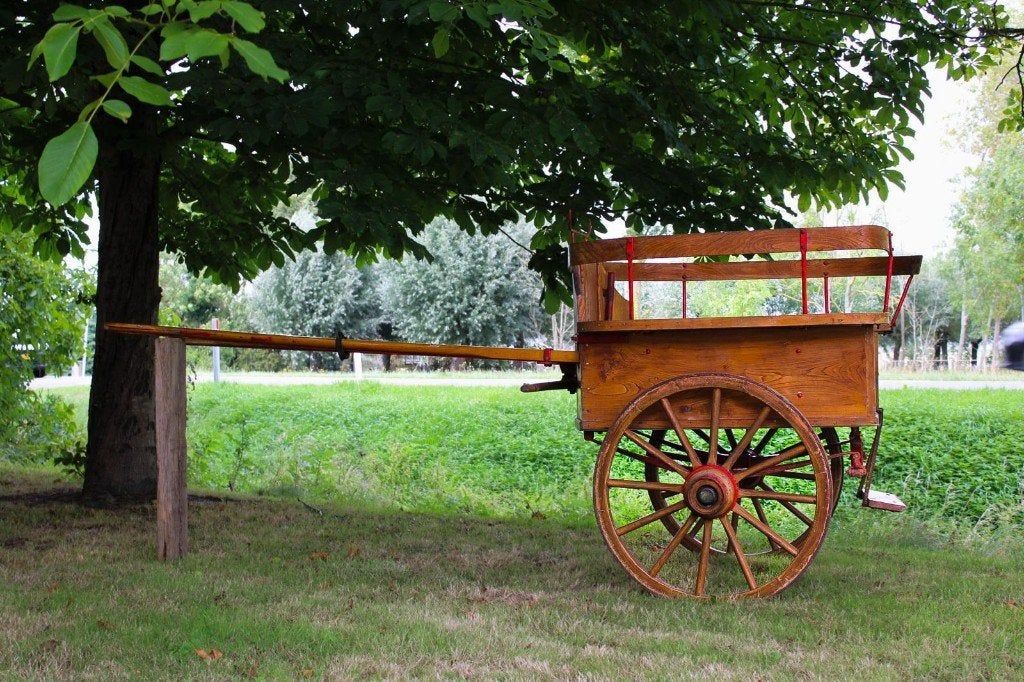 Authentieke Boeren Dresseerkar, Gebruikt, Overige typen, Paard