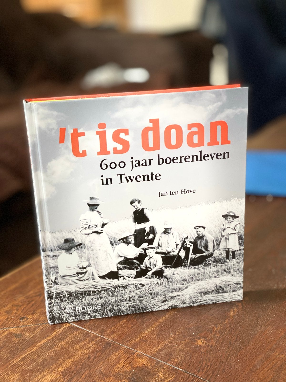 't is doan: 600 jaar boerenleven in Twente, Boeken, Ophalen of Verzenden, 20e eeuw of later, Nieuw