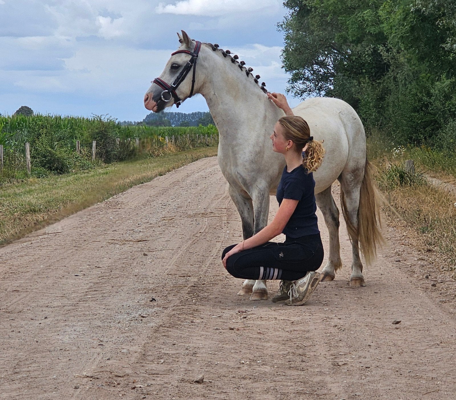 lieve welsh a ruin 1.17m, Ruin, A pony (tot 1.17m), Met stamboom, 3 tot 6 jaar