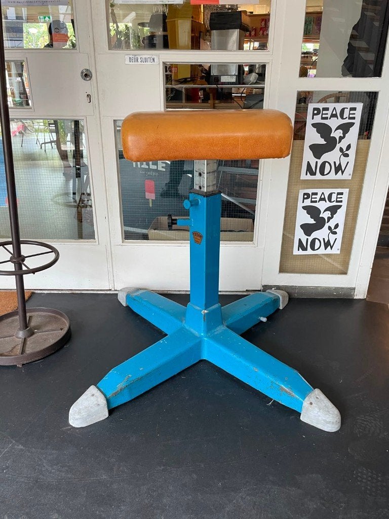 2 verschillende Gym bok voor turnen, Ophalen, Gebruikt, Blauw, Overige typen